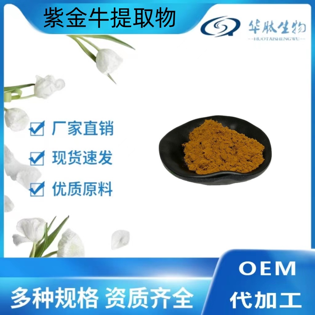 紫金牛提取物   10:1 /20/30/50：1 紫金牛粉  原料粉末
