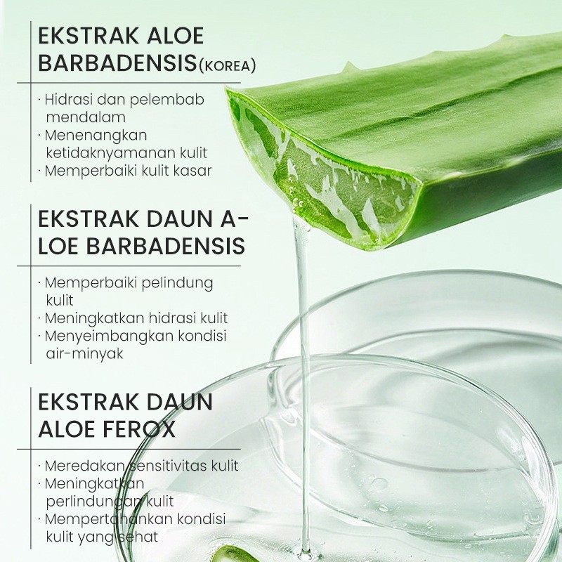 Inglés completo KORMESIC gel de aloe vera gel de aloe vera comercio electrónico transfronterizo comercio exterior al por mayor image 5