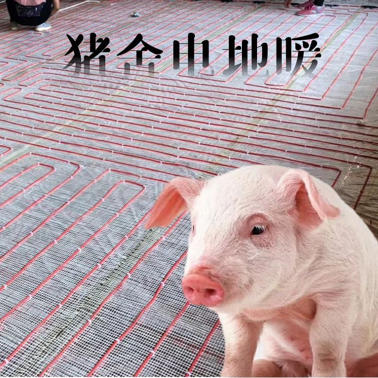 养殖用硅胶发热线厂家 猪圈石墨烯发热电缆安装 暖烨