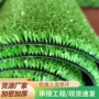 景区绿化工程定制草皮