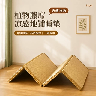 定制日式榻榻米垫子可折叠地上睡觉专用垫夏季客厅午休打地铺睡垫