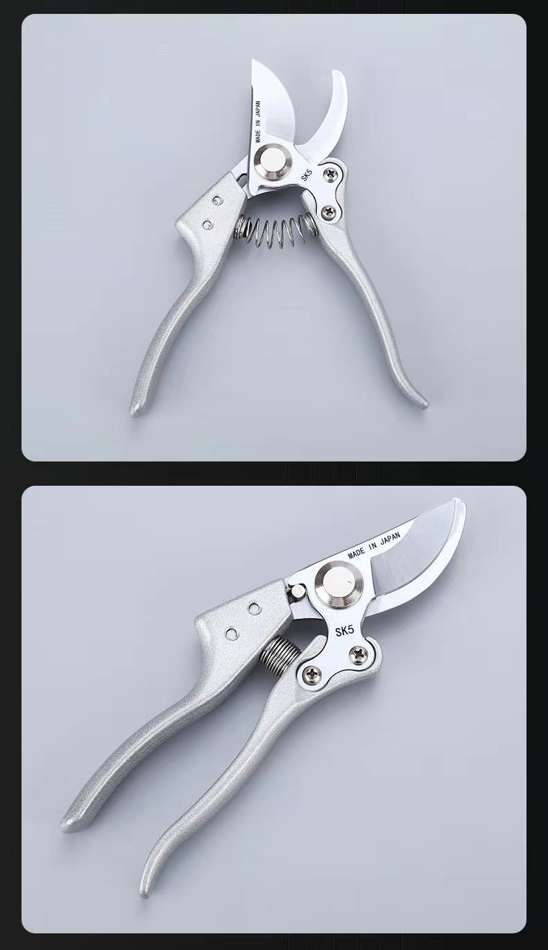 ΢��ͼƬ_2021110819131810