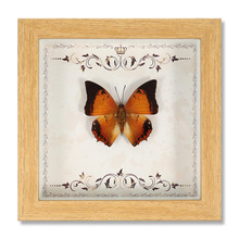������˱���� ľ�|�b�DIY�͹����[̨�Ҿ��b����նY��YƷ