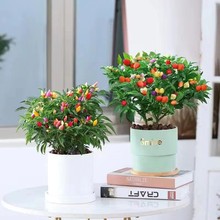 ʽԘʳС߲ʽС콷̨ʎ҃ȾGֲ