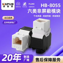 ������ξW�jģ�K CAT6 ǧ�� RJ45 ��Ϣģ�K�^�����˹��̲���