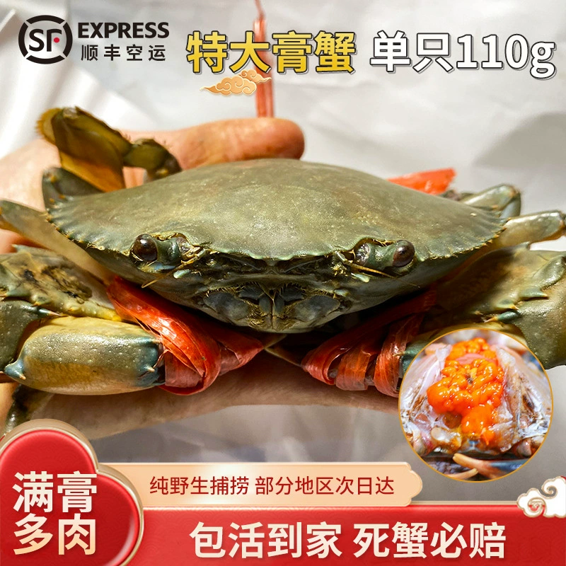 Крабовая паста Бирманский женский краб, авиадоставка, Бангладеш, зеленая паста, краб, свежий дикий краб, 1 краб, около 110 г, пряный краб