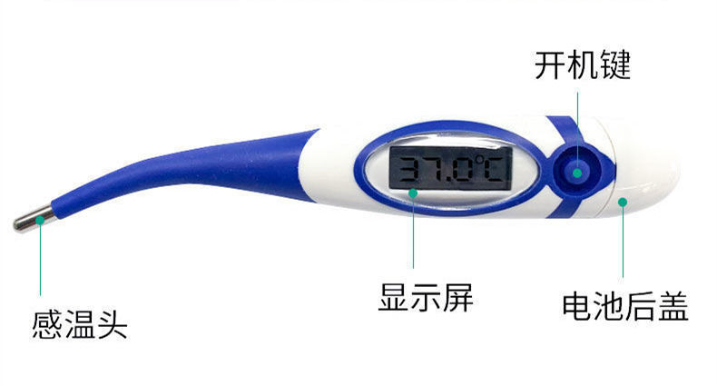 1619770263855_副本