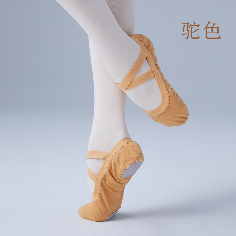 Zapatos de baile para adultos zapatos de práctica zapatos de garra de gato de fondo suave zapatos de baile de ballet boca elástica zapatos de punta de tela sin cordones al por mayor