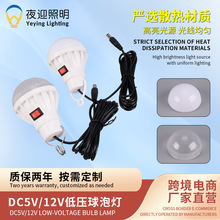 低压led球泡灯USB地摊灯用12v球泡灯5v珠光罩DC线夜市灯泡批发