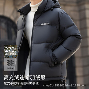 �Z�q��q����ʿ�̿�2025�����¿�����������Ӻ�ů�O���п�����