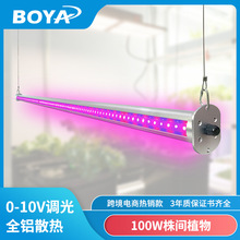 ���t�����gֲ�����L�a���led��ˮ�҃��r�I���ﴮֲ���������