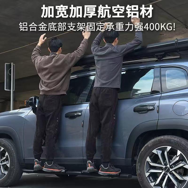 Haval Raptor Side Pedal Modification for Large Dog Welcome Pedal Fixed Two Dog Foot Pedal Welcome Side Pedal Modification