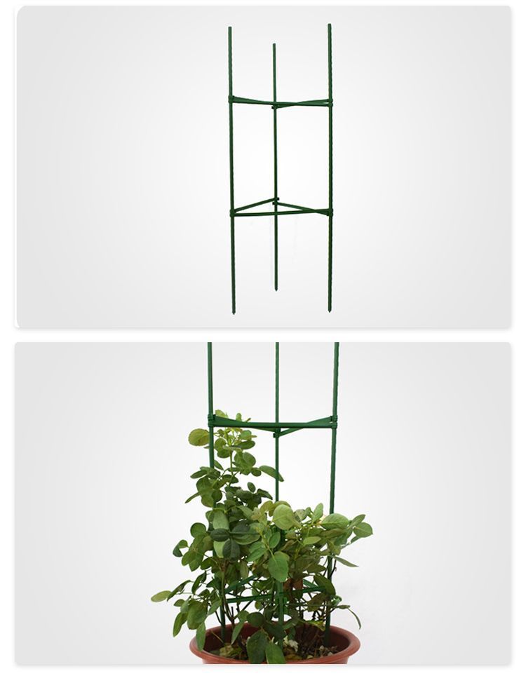 cd0dc8c0-8cc3-4988-a485-4d4738c8c3b6.jpe