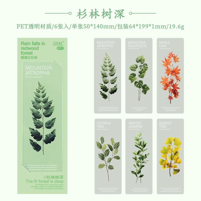 2 bosque de abetos profundo