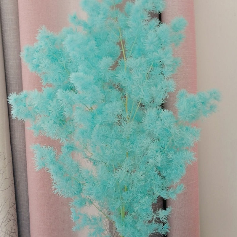 永遠のドライフラワー蓬莱松プリザーブドフラワー diy 花束手作り素材ギフト花素材結婚式ホームフラワーアレンジメント装飾|undefined