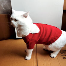 特价宠物毛衣清仓处理宠物猫咪毛衣棉衣服装