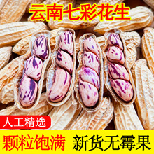 2025�»������߲ʻ����̸ɻ������Ӵ���ˮ��������ɫ��ʻ�����