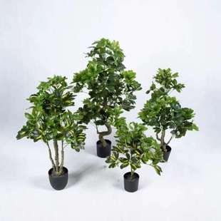 ���������~���_ľ�����辰�S��ֱ�N�lؔ��Gֲֲ���b[����ȸľ