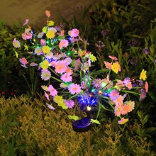 ���NLED̫���СҰ�շ��滨������@ͥԺ���@��ƺ�^�p�ز������