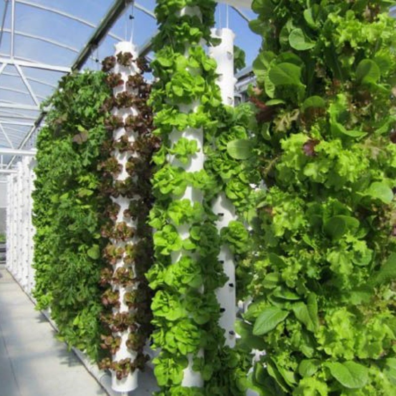 torre hidropónica inteligente plantación de verduras equipo de cultivo vertical sin suelo doméstico balcón plantación de verduras equipo de cultivo de agua