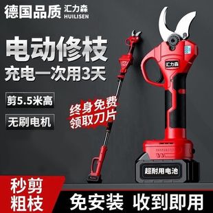 Telescopic Pole Electric High-Branch Pruner, High-Altitude Electric Tree Saw, Electric Chainsaw, Rechargeable Portable Logging Saw, Orchard Scissors