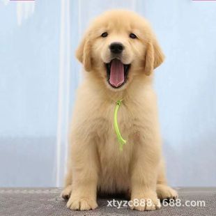 ���N��ë��Ȯ���wِ����ëȮ��äȮ����������Ȯ���B��ëȮ���ﹷ