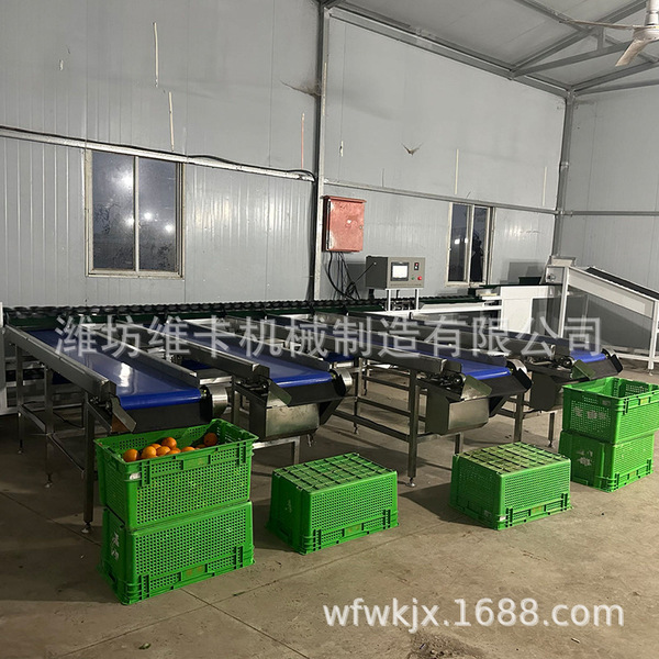 Tomato and citrus electronic fruit sorting machine