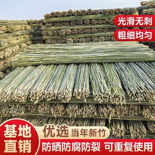 Bamboo Poles for Garden Trellis, Bean Climbing Trellis, Fence, Flagpole, Bamboo Poles, Bamboo Climbing Support, Small Bamboo Poles for Cross-Border
