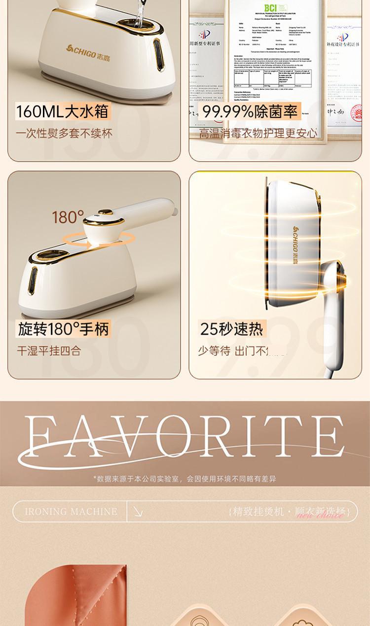 Zhigao handheld steamer, ceramic plate, high power