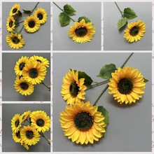 ֧^տ3^5^̫ꖻ͏dcbߔ[