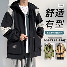 �_�h�A���������ﶬ���������ɹ��b�����a���e���·�