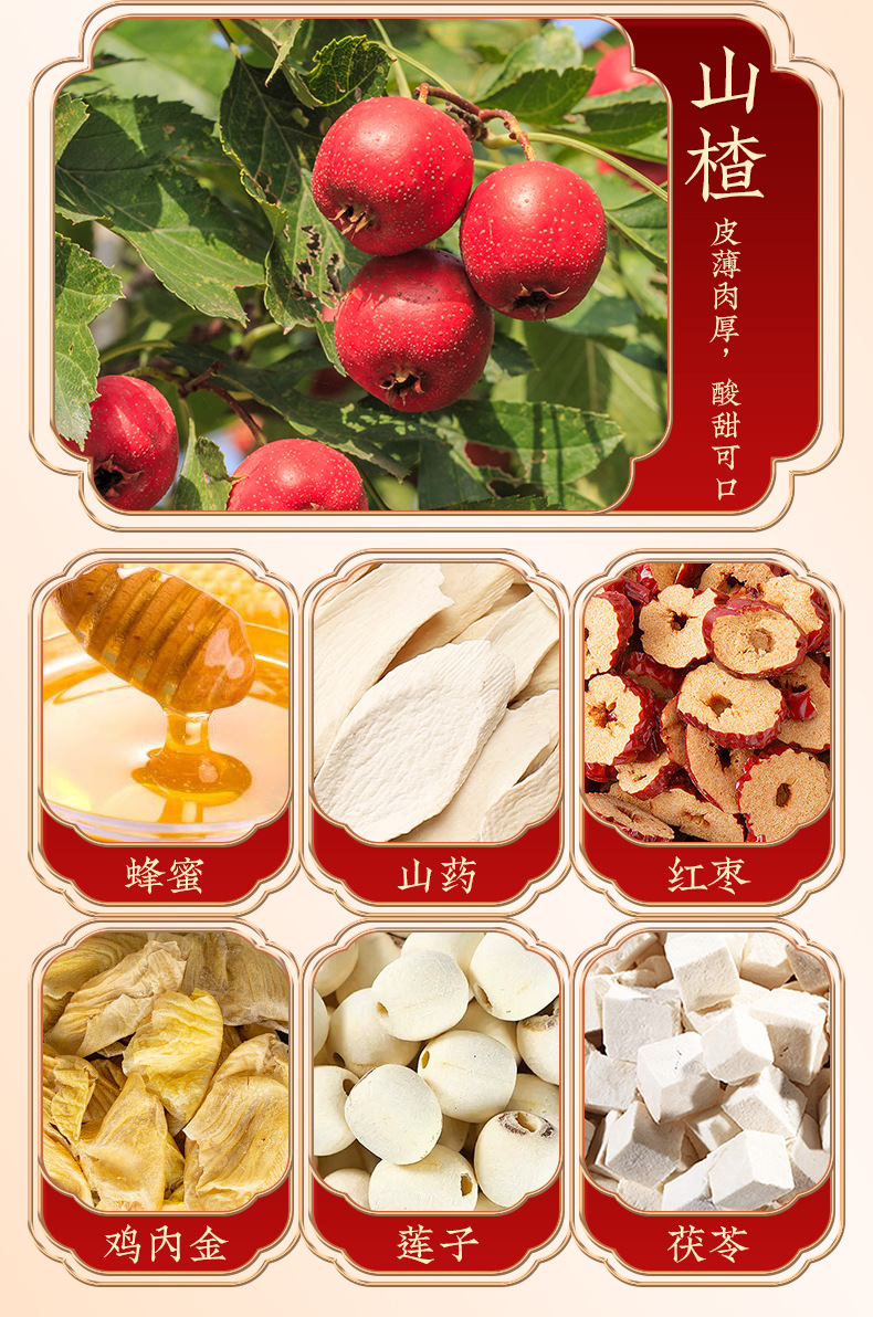 Hawthorn Six-Herb Paste with Chicken Gizzard Lining (Shan Zha Liu Wu Gao) — 300g Traditional Herbal Paste specifications