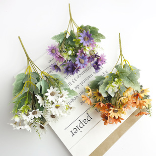 ����5����ɫСҰ�հ��� ��c�ҾӔ[���zӰ�ٻ���С�ѻ��羳���N��