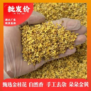 �V���ؼ����֏S��ֱ�N��𻨃��ɸɹ𻨲�ɻ�ɢ�b���l