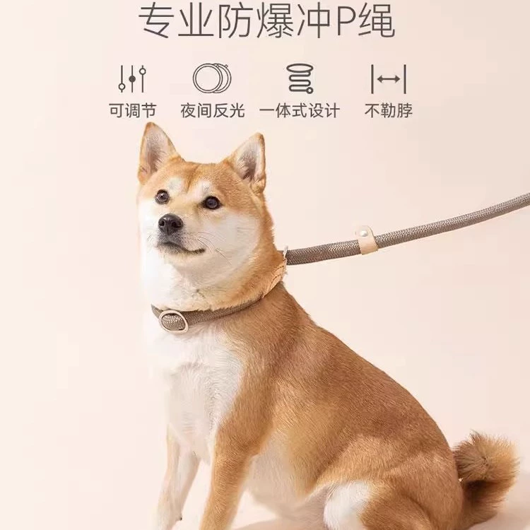 Взрывозащищенный поводок для выгула собак с P-образной цепью для кошек и собак, взрывозащищенный поводок для средних и крупных собак