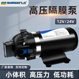 DP-160高压力隔膜泵12v24v小型农药喷雾净水器压路机地暖清洗车泵