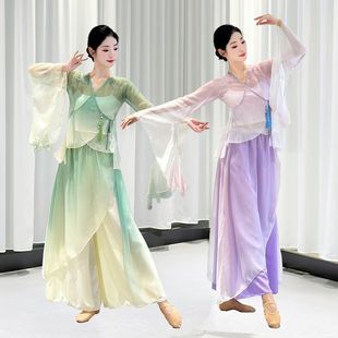 Classical Dance Gauze Elegant Chinese Dance Performance Dress Female Fairy Summer Mesh Pink Green Purple