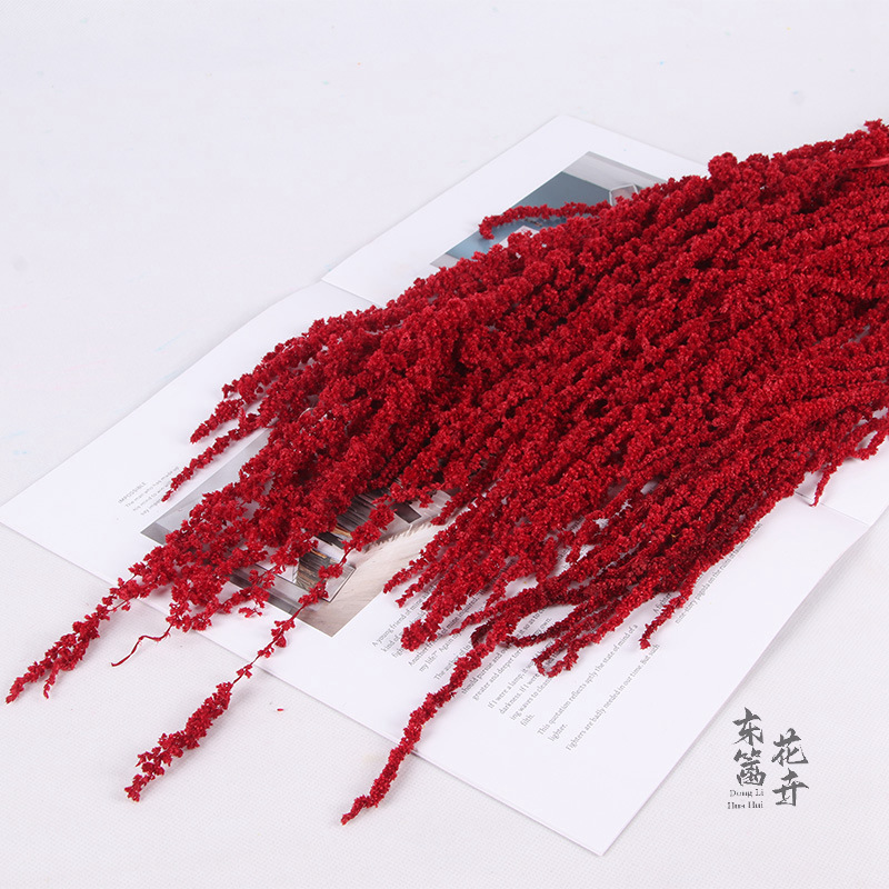 Arroz colgante de vida eterna, flores colgantes de Roulisi, flores reales, flores perpetuas, arreglos florales de boda, decoración de paredes, flores secas tridimensionales al por mayor