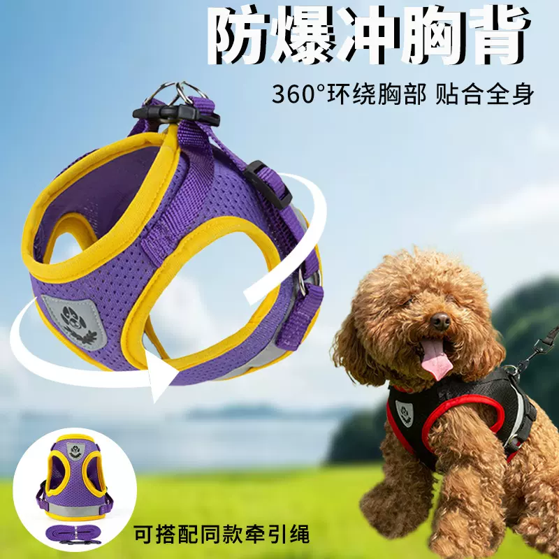跨境狗狗牵引绳胸背可爱背心式狗绳宠物牵引p绳猫咪宠物用品批发