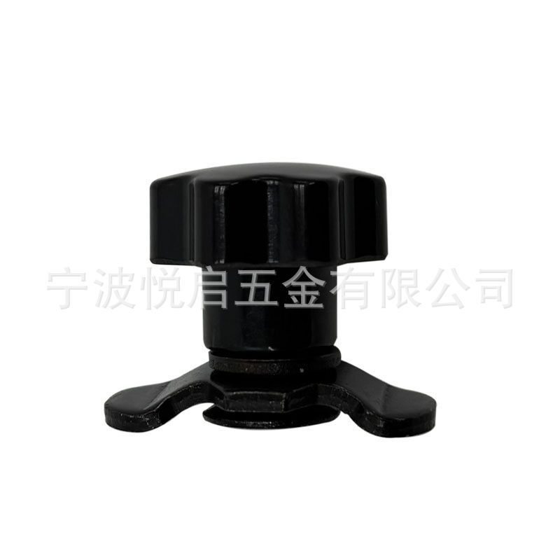 8.8級RVキャンピングカー改造用黒色M8ネジ固定バックルアルミレールアクセサリー20/40/60mm|undefined