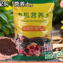 ���|�I�B���B��ͨ���ͷN�ˌ��������⻨�����Ԍ�����̿Ҭ���Nֲ��