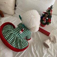 跨境新款秋冬季保暖圣诞节风格狗狗衣服公主裙子泰迪比熊宠物服饰