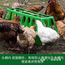 ����ι�uʳ���ϲ۷����B�O�����Zι�u���Ͱ�Ԅ�ιʳ�u�����