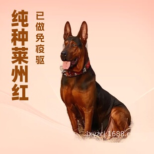 ���N�R�ݼt�K�t��Ȯ���w��С�������ǹ��o�lȮ����Ȯ�������Ȯ