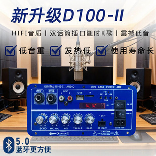D100-II���ʹ������唵���{������܇�d����푿ɽ�MIC���Ű�100W