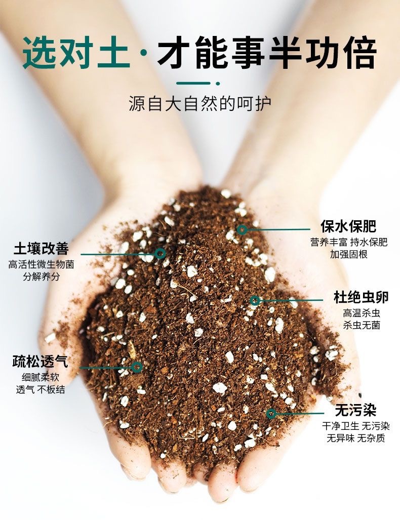 cdafb314-d015-44ca-a40a-47ce9bbd1fc7.jpe