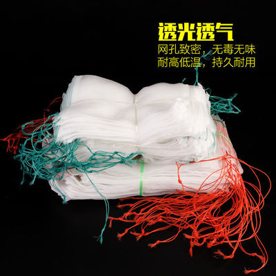 fruit Pest control Anti-bird netting Pumpkin skin pitaya Drosophila melanogaster Melon and fruit Bagging Bag Seed bags