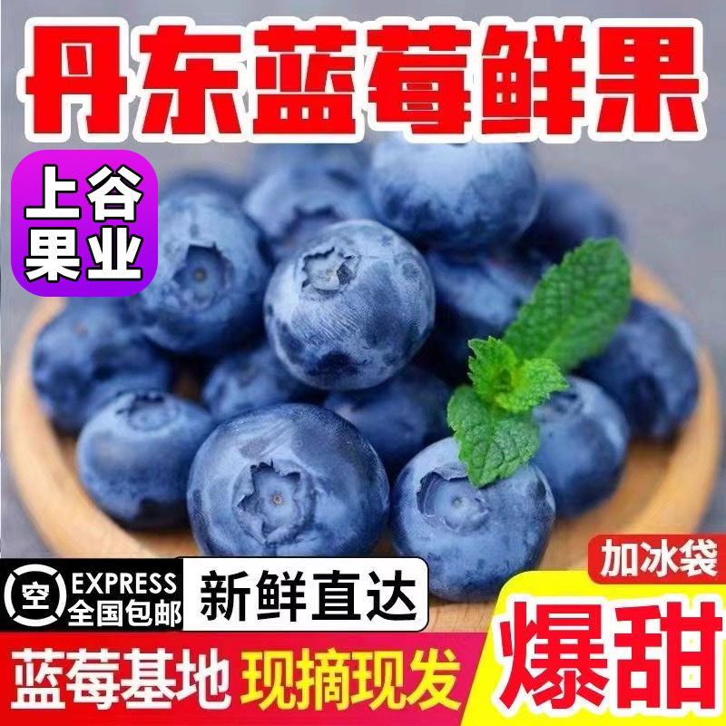 丹东大蓝莓宝宝非云南新鲜蓝莓批发鲜当季盒源工厂一件批发代发