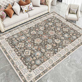 美式仿羊绒地毯北欧摩洛哥客厅卧室沙发茶几毯民族风乡村复古地垫