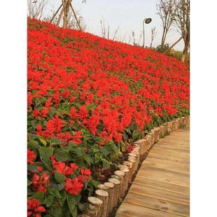 ���ڰ�һ���t�N�Ӱ����t�ߴ��tһ���{�N���׻�׷N�ͺ����ܷN��